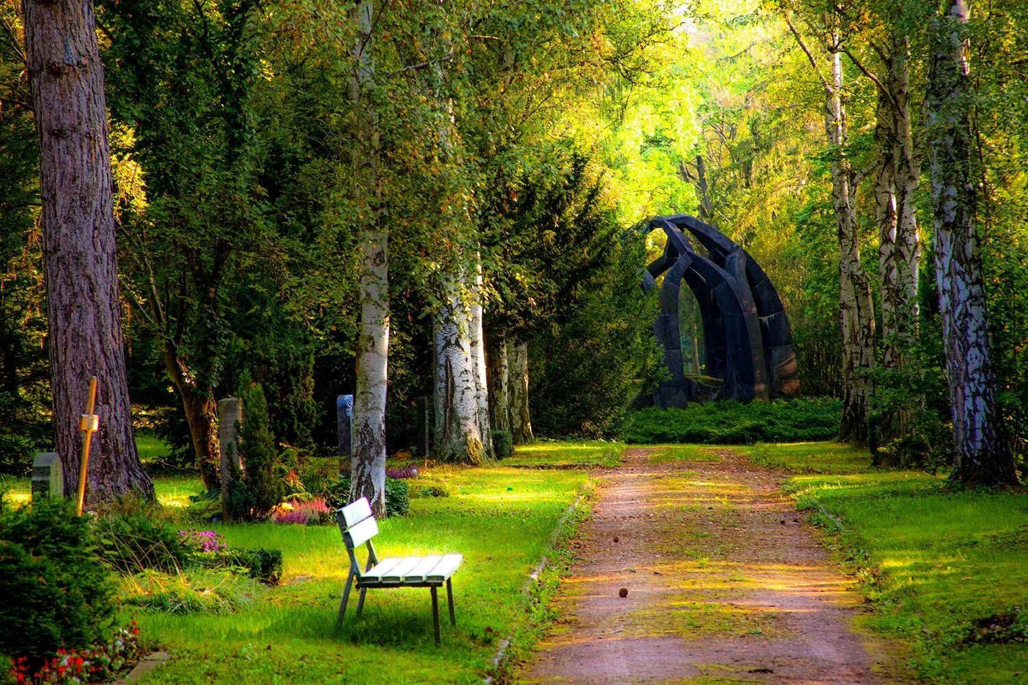 Nature Image